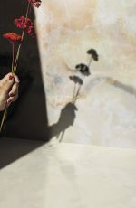 Onice Rosa Iris FMG - imagine 2